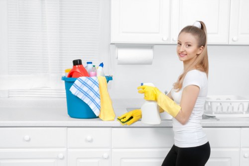 Domestic cleaning tasks in a Kennington property