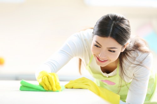 Deep carpet cleaning process for a local property